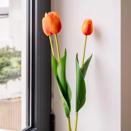 Deskanzo - Silva Brinco Apart-hotel 3*