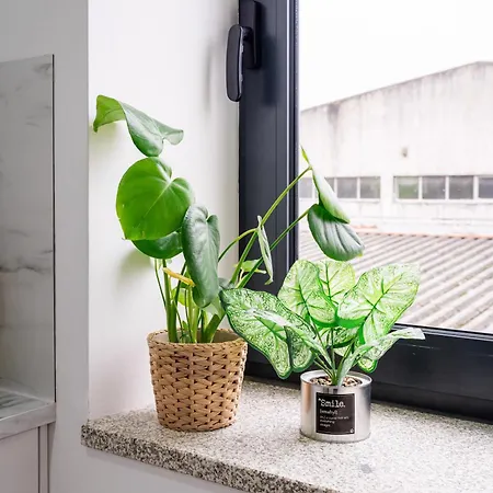 Apart-hotel Deskanzo - Silva Brinco