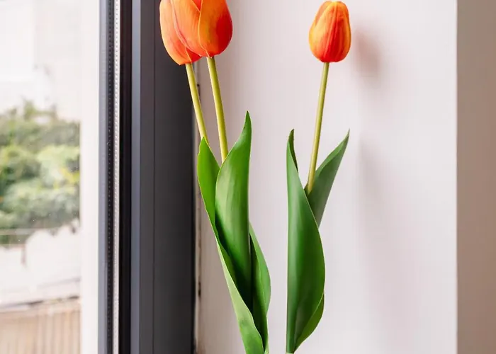 Deskanzo - Silva Brinco Lägenhetshotell 3*