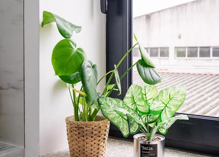 Aparthotel Deskanzo - Silva Brinco